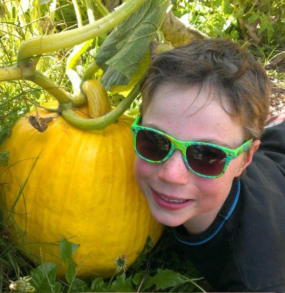 Giant Pumpkin